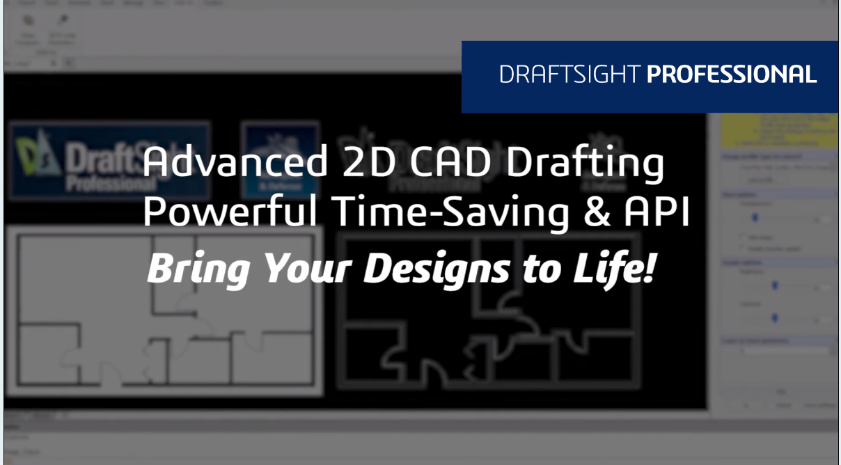 DRAFTSIGHT PROFESSIONAL